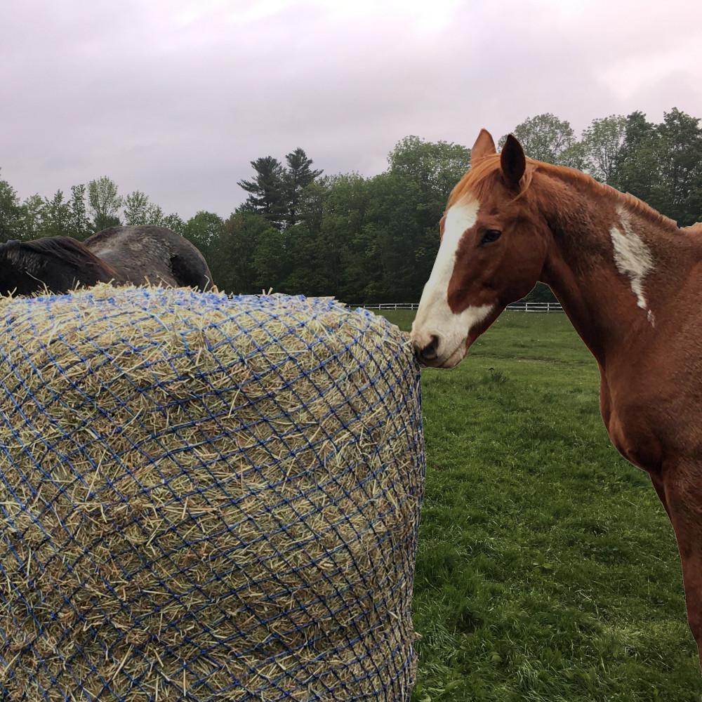 How To Use A Round Bale Slow Feeding Hay Net